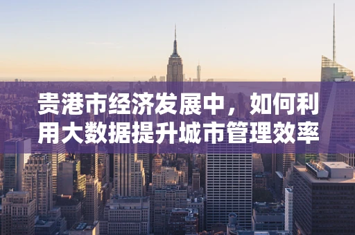 贵港市经济发展中，如何利用大数据提升城市管理效率？