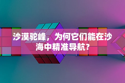 沙漠驼峰，为何它们能在沙海中精准导航？