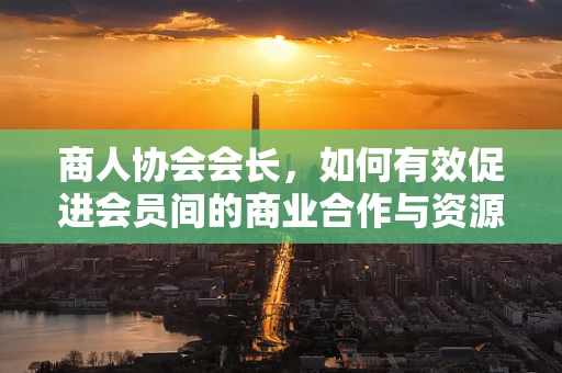 商人协会会长，如何有效促进会员间的商业合作与资源对接？