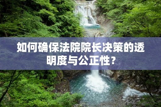 如何确保法院院长决策的透明度与公正性？