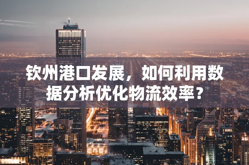 钦州港口发展，如何利用数据分析优化物流效率？