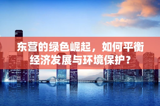 东营的绿色崛起，如何平衡经济发展与环境保护？