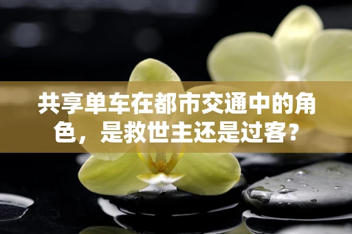 共享单车在都市交通中的角色，是救世主还是过客？
