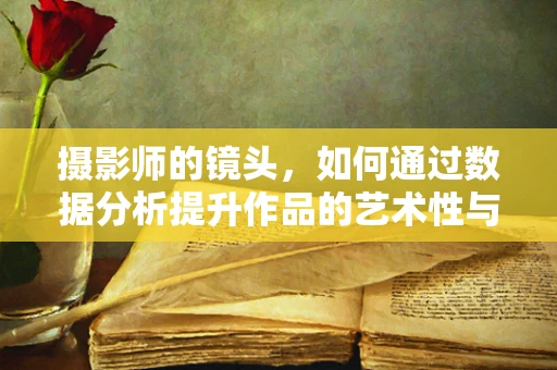 摄影师的镜头，如何通过数据分析提升作品的艺术性与商业价值？