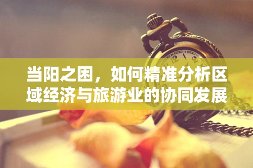 当阳之困，如何精准分析区域经济与旅游业的协同发展？