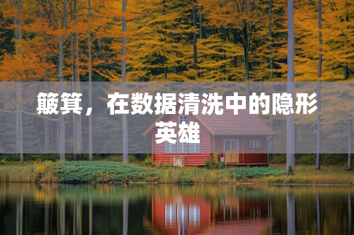 簸箕，在数据清洗中的隐形英雄