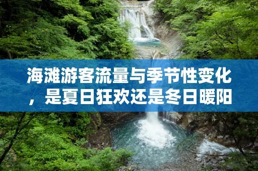 海滩游客流量与季节性变化，是夏日狂欢还是冬日暖阳？