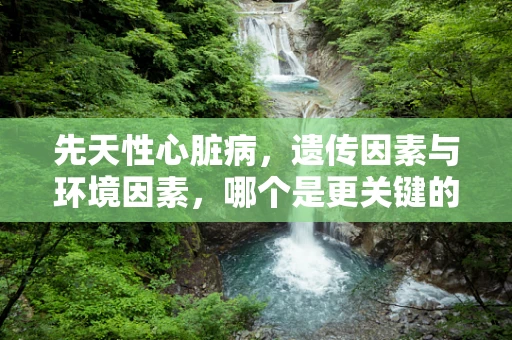 先天性心脏病，遗传因素与环境因素，哪个是更关键的影响者？