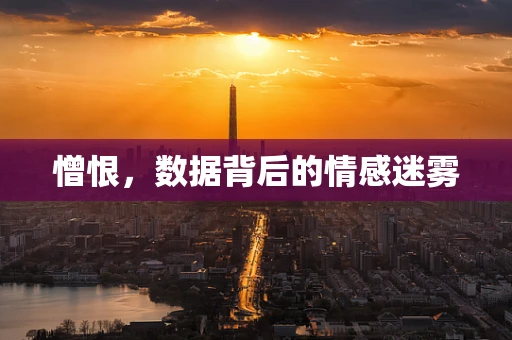 憎恨，数据背后的情感迷雾