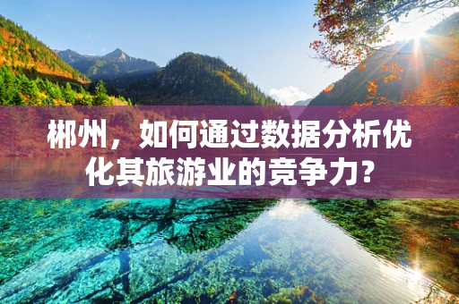 郴州，如何通过数据分析优化其旅游业的竞争力？