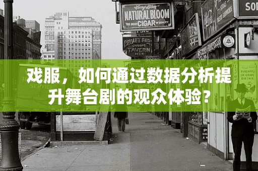 戏服，如何通过数据分析提升舞台剧的观众体验？