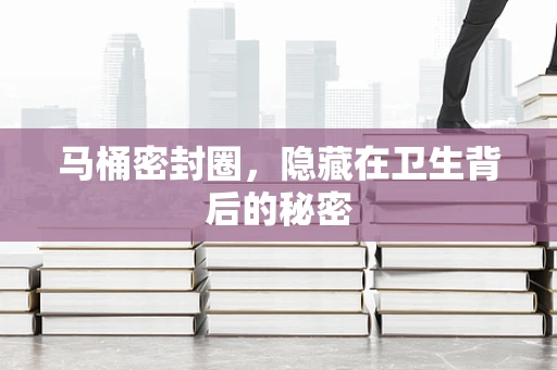 马桶密封圈，隐藏在卫生背后的秘密