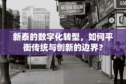 新泰的数字化转型，如何平衡传统与创新的边界？