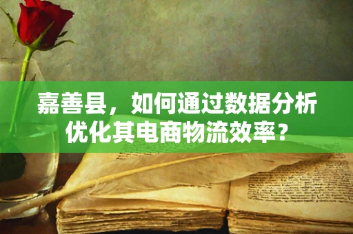 嘉善县，如何通过数据分析优化其电商物流效率？