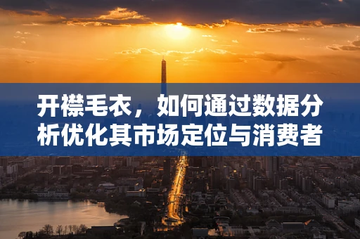 开襟毛衣，如何通过数据分析优化其市场定位与消费者偏好？