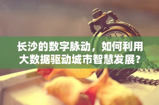 长沙的数字脉动，如何利用大数据驱动城市智慧发展？