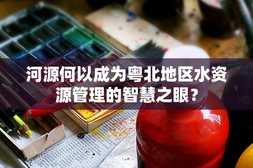 河源何以成为粤北地区水资源管理的智慧之眼？