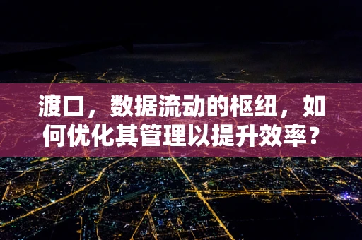 渡口，数据流动的枢纽，如何优化其管理以提升效率？
