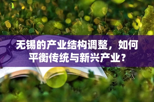 无锡的产业结构调整，如何平衡传统与新兴产业？