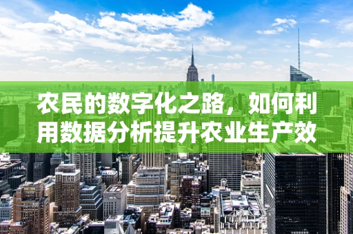 农民的数字化之路，如何利用数据分析提升农业生产效率？