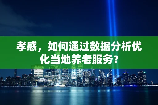 孝感，如何通过数据分析优化当地养老服务？
