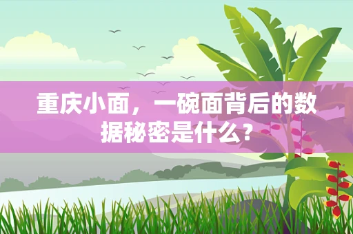 重庆小面，一碗面背后的数据秘密是什么？
