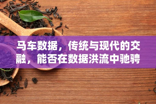 马车数据，传统与现代的交融，能否在数据洪流中驰骋？