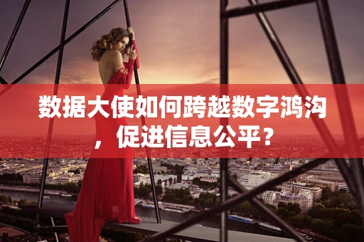 数据大使如何跨越数字鸿沟，促进信息公平？