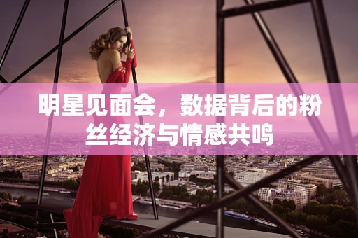明星见面会，数据背后的粉丝经济与情感共鸣