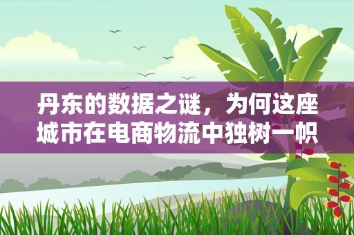 丹东的数据之谜，为何这座城市在电商物流中独树一帜？