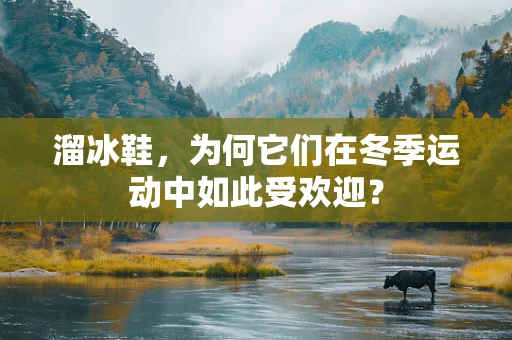 溜冰鞋，为何它们在冬季运动中如此受欢迎？