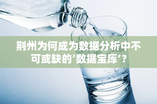 荆州为何成为数据分析中不可或缺的‘数据宝库’？