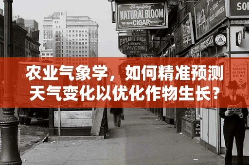 农业气象学，如何精准预测天气变化以优化作物生长？