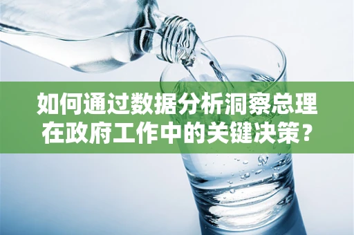 如何通过数据分析洞察总理在政府工作中的关键决策？