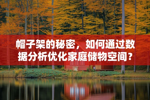 帽子架的秘密，如何通过数据分析优化家庭储物空间？