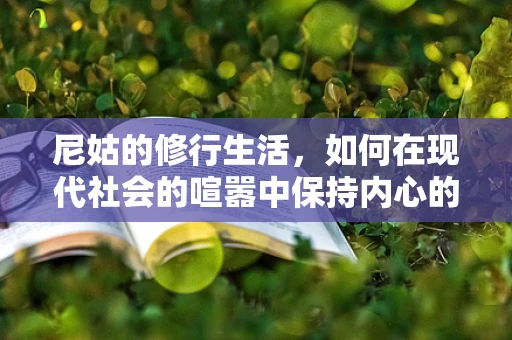 尼姑的修行生活，如何在现代社会的喧嚣中保持内心的宁静？