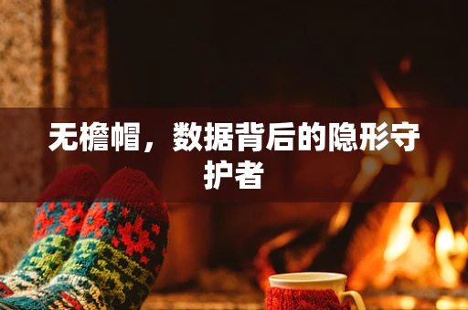 无檐帽，数据背后的隐形守护者