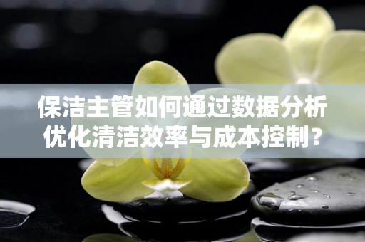 保洁主管如何通过数据分析优化清洁效率与成本控制？