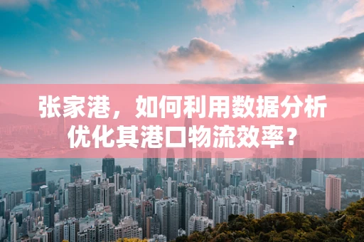 张家港，如何利用数据分析优化其港口物流效率？
