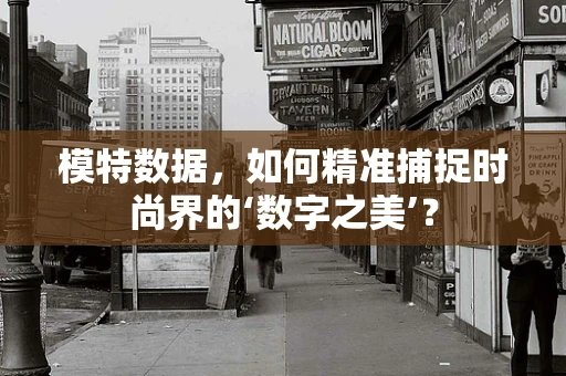 模特数据，如何精准捕捉时尚界的‘数字之美’？