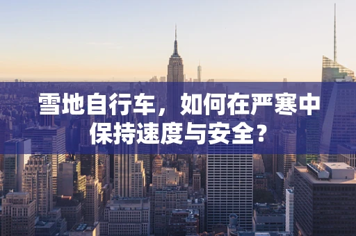 雪地自行车，如何在严寒中保持速度与安全？