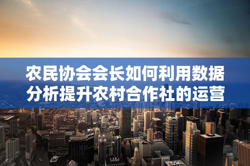 农民协会会长如何利用数据分析提升农村合作社的运营效率？