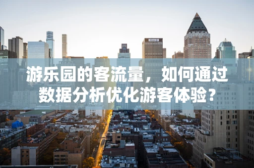 游乐园的客流量，如何通过数据分析优化游客体验？