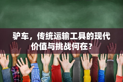 驴车，传统运输工具的现代价值与挑战何在？