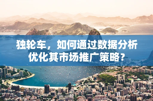 独轮车，如何通过数据分析优化其市场推广策略？