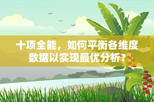 十项全能，如何平衡各维度数据以实现最优分析？