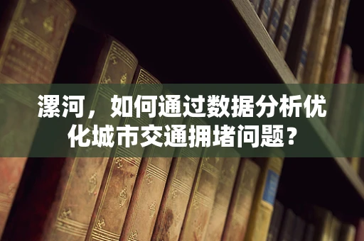 漯河，如何通过数据分析优化城市交通拥堵问题？