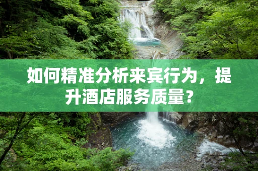 如何精准分析来宾行为，提升酒店服务质量？