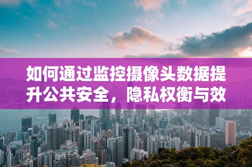 如何通过监控摄像头数据提升公共安全，隐私权衡与效率追求的平衡点在哪里？