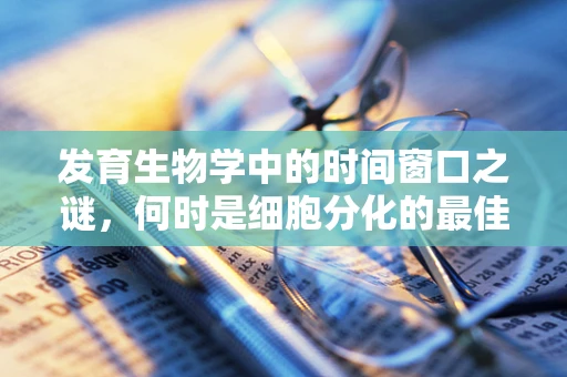 发育生物学中的时间窗口之谜，何时是细胞分化的最佳时机？